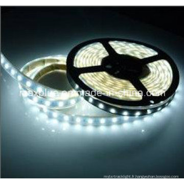 DC24V 5630 70LEDs / M Bande LED à courant constant